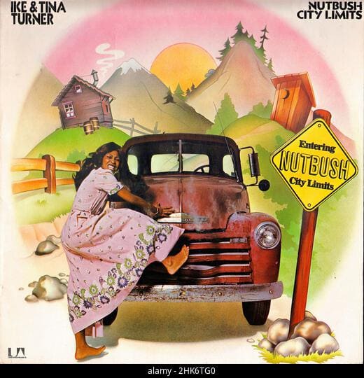Nutbush City Limits by Ike & Tina Turner
